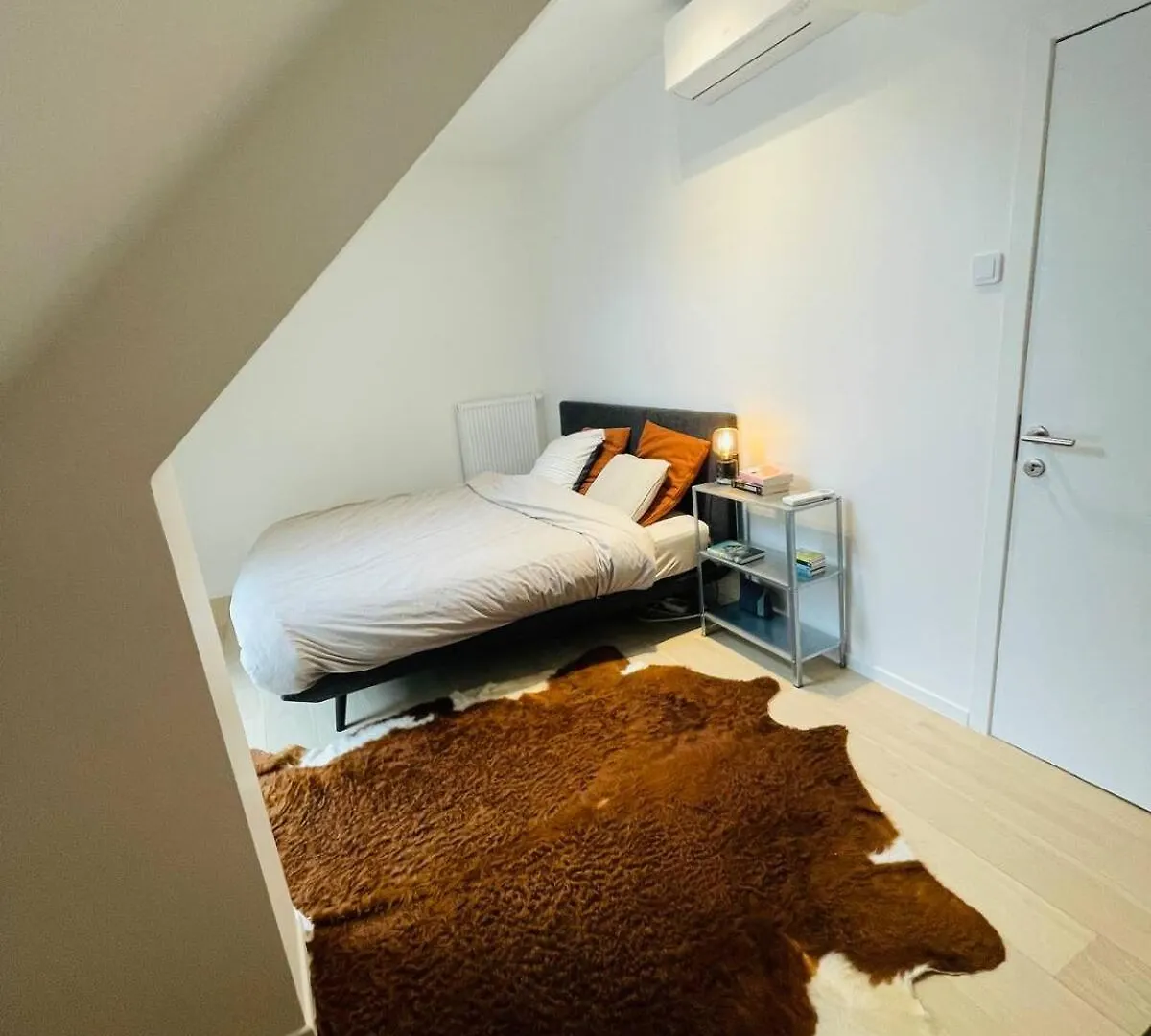 Lichtrijke Woning Met Tuin Apartment Ghent Belgium