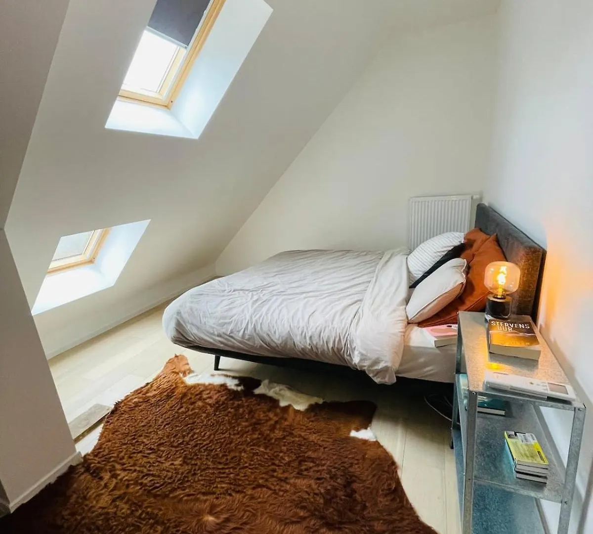 Lichtrijke Woning Met Tuin Apartment Ghent Belgium