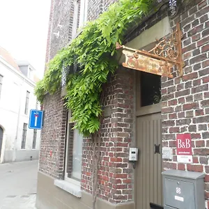 Couette-café Allegra Nova, Gand